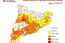  Elevat risc d’incendi a la comarca de la Conca de Barberà