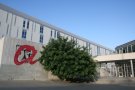 Les universitats són les institucions millors valorades de Catalunya