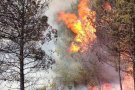 El Govern aprova el Programa campanya d'estiu de prevenció d'incendis forestals per a l'any 2016