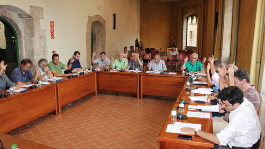 Imatge del ple d'aquest 16 de juliol