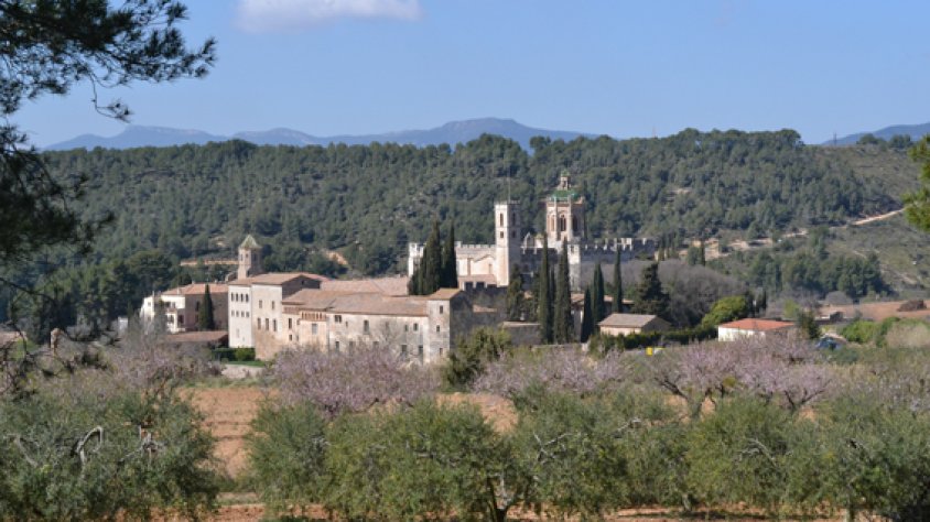 Monestir de Santes Creus