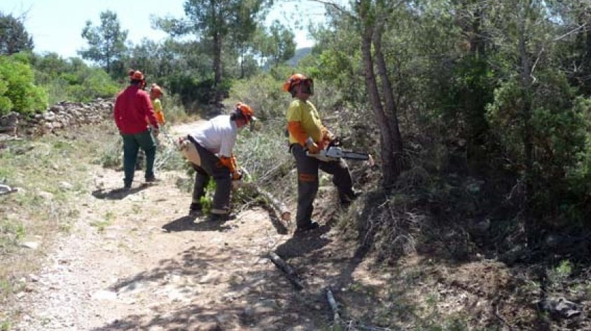 Gràcies a la iniciativa es prevenen incendis forestals