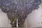Davallada de la producció de raïm del 29%