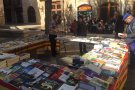 Arriba la VIII edició del Festallibre