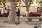 Peyu, a l’APM?: “Blancafort té l’únic plataner d’obra vista que hi ha a Catalunya”