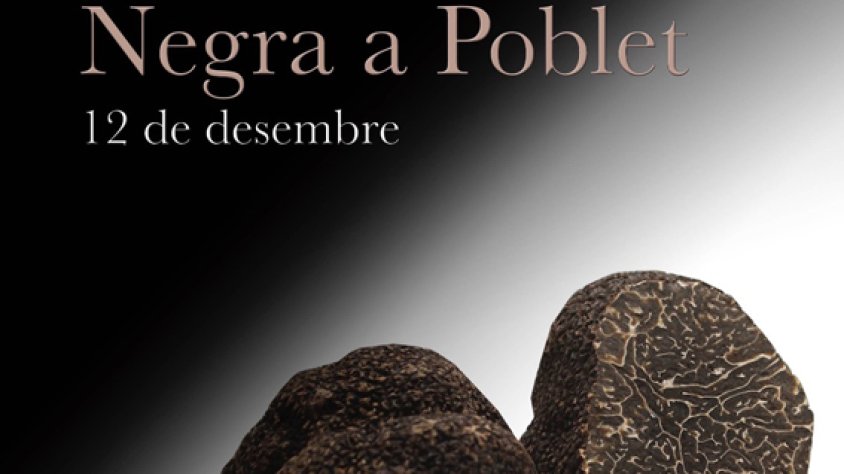 Cartell de la jornada