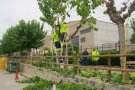 Finalitzen els Plans d’Ocupació de Concactiva impulsats per la Diputació de Tarragona