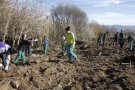 Recuperació de la vegetació de ribera del riu Francolí a Montblanc
