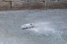 Els TEDAX de la Guàrdia Civil retiren un obús de la Guerra Civil del campanar de Blancafort
