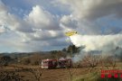 Cremen 7.000 m2 de canyar a Barberà de la Conca