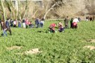Plantada popular amb els caus de l’Espluga i Montblanc al meandre del Martí