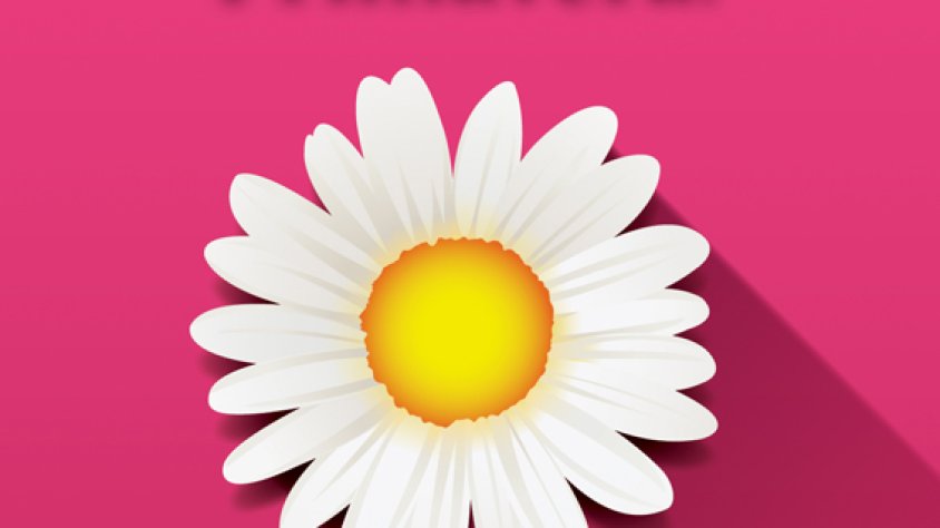 Cartell de la campanya