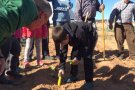 El cultiu de l'hort social serveix d'intercanvi d'experiències entre infants i gent gran de Pira