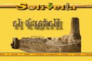 Es refà el capítol dedicat al castell-palau dels Llorac a la pàgina web www.solivella.net