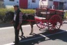 Vilaverd viurà aquest 1 de maig la 10a Festa dels Tres Tombs
