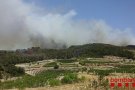 Foc forestal a tocar de la Conca de Barberà amb 250 hectàrees cremades
