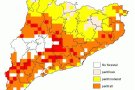 Augmenta el risc d’incendi forestal a la Conca de Barberà