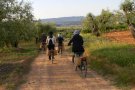 S'organitza una sortida per conèixer el Paratge Natural de Poblet amb bicicleta elèctrica