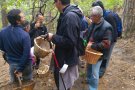 Activitats de cap de setmana al Paratge Natural de Poblet