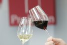 La DO Conca de Barberà a la fira Prowein