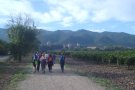 Canvi de data per risc de pluges de la caminada de Vimbodí i Poblet