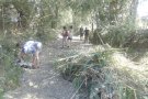 Joventut incrementa en un 43% l’oferta de places en camps de treball a la demarcació