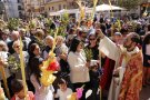 Jornada de Rams a l'Espluga de Francolí