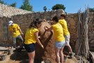 Joventut ofereix aquest estiu 54 camps de treball a Catalunya amb 1.152 places per a joves