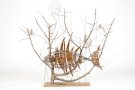 L’exposició sobre John Bridges allarga la seva estada al Museu de la Vida Rural
