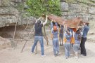 Tallers de prehistòria a les Coves de l’Espluga de Francolí diumenge 30 d'abril