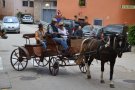 Vilaverd celebra l'11a Festa dels Traginers