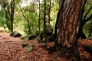 Celebració del Dia Europeu dels Parcs al Paratge Natural de Poblet