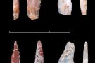 Troben 4.000 restes d’eines de pedra i fauna i tres noves peces d’art moble de fa 14.000 anys al Molí del Salt, a Vimbodí i Poblet
