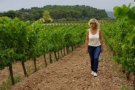 JARC-COAG denuncia un retard “injustificat” en el pagament de l’ajut a l’agricultura ecològica de la campanya 2016