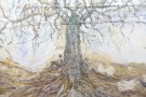 La ruta dels arbres singulars ‘Arrelats’ inspira una exposició de l’artista Jordi Morera