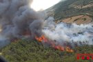 Els Bombers de la Generalitat treballen en un incendi de vegetació, ja estabilitzat, a Vallbona de les Monges