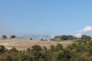 Incendi de vegetació a les Piles
