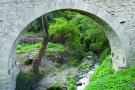 La Festa de l’Arbre arriba a Santa Coloma de Queralt
