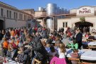 Sarral tasta el primer vi de la temporada