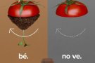 'Si hi va, bé. Si no hi va, no ve.', nova campanya de foment de la recollida selectiva dels residus orgànics