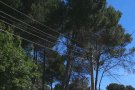 Endesa renova tecnològicament xarxa elèctrica de baixa tensió en zones boscoses de la Conca de Barbera