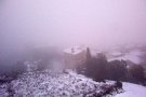 Dies de fred, pluja i alguna enfarinada a la Conca de Barberà