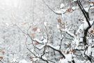 Desactivada l'alerta pel temporal de nevades