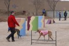 Montblanc ja té una àrea d'esbarjo per a gossos