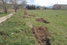 Renovat el compromís amb els ecosistemes de ribera i amb les persones amb discapacitat