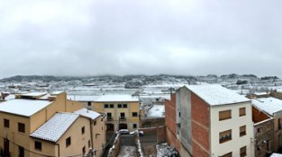 Sarral