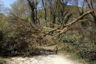 Fortes ratxes de vent a la Conca el passat dissabte