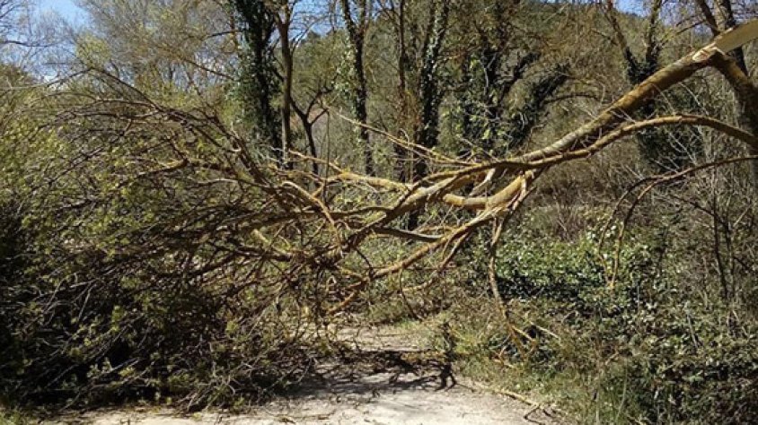 Protecció Civil de Montblanc realitzant un servei de neteja d’accés a un camí rural causat per culpa del vent