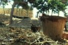 Joventut organitza 59 camps de treball per a joves aquest estiu, alguns a la Conca de Barberà