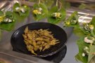 Plantes silvestres comestibles al Paratge Natural de Poblet